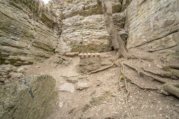 The cave in the rock with tree. View from inside. Kamianets-Podilskyi, Ukraine.