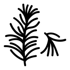 Shrub with fragrant vector icon design, Condiments and Spices symbol, Food cooking ingredients Sign, Herbs and table sauce stock illustration, Dry rosemary leaves Concept,