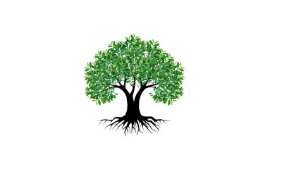 Tree and roots with green leaves look beautiful and refreshing. Tree and roots LOGO style.