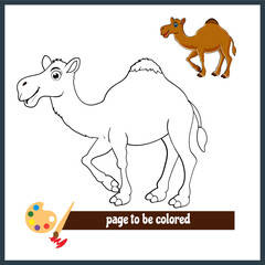 Cartoon camel a coloring