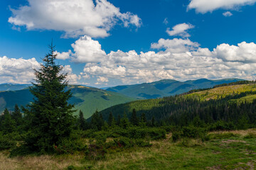 Fototapeta na wymiar Polonina in the Carpathians against the backdrop of clouds. summer landscape