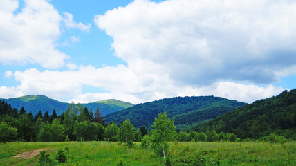 Panoramic view of the Carpathian mountains covered with green grass and forest on a summer sunny day
