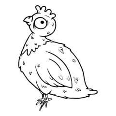 Chicken sketch drawing. Vector illustration of chicken bird.