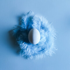 Egg on a bed of blue feathers, easter egg, square format