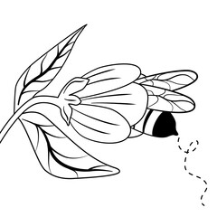 cute cartoon black and white vector illustration with bee and flower for coloring art