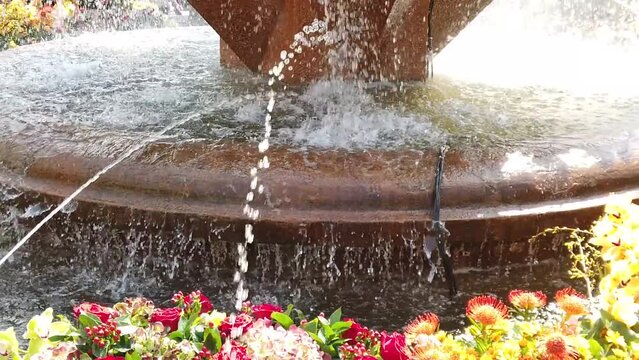 TIMFLORALIS international flower festival held in Timisoara, Romania. Details of a pubic fountain with flower decorations