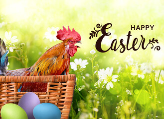 Happy Easter card. Screaming cock with eggs