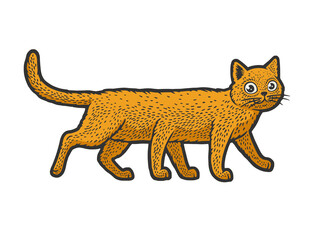 six legged cat color sketch engraving raster illustration. T-shirt apparel print design. Scratch board imitation. Black and white hand drawn image.