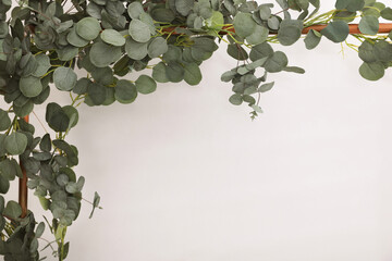 Fototapeta na wymiar Frame with green leaves on white background. Stylish photo zone