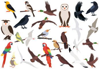 birds set flat design, isolated, vector