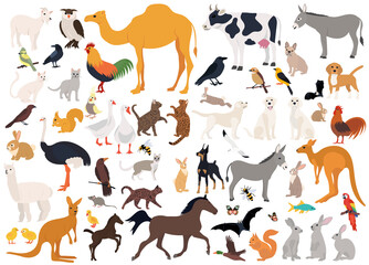 animals set flat design, isolated, vector