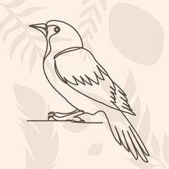 bird drawing in one continuous line