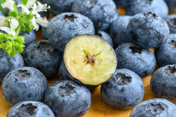 Fresh blueberries macro closeup