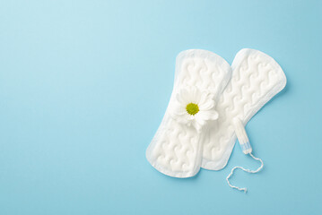 Top view photo of two panty liners with camomile bud and tampon on isolated pastel blue background with copyspace