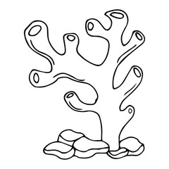Vector isolated simple contour coral template. Colorless black line coral branch outline doodle sketch.