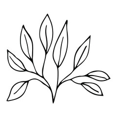 Vector isolated simple contour coral template. Colorless black line coral branch outline doodle sketch.