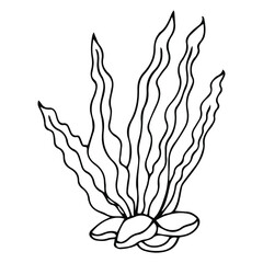 Vector isolated simple contour coral template. Colorless black line coral branch outline doodle sketch.