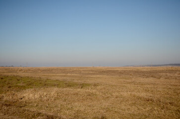 Obraz premium Rural autumn landscape of yellow grass in a field and blue sky
