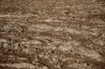 Brown soil with white salt coming to the surface. Agriculture concept