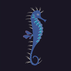 Seahorse colorful icon on dark background. Beautiful silhouette for design, wedding festive card, fashion ornaments, logo, children, pattern. Vector illustration.