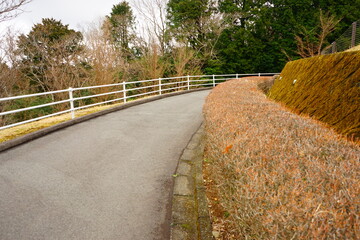 Curved Road in Japan -  道 カーブ