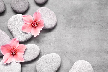 Spa stones and pink flowers on the grey background.