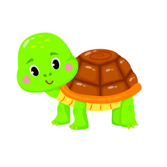 Vector illustration of cute Turtle on white background
