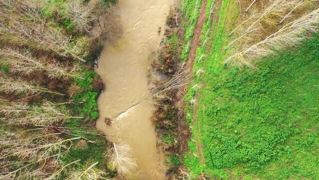 River and poplar grove in winter. Ega river, Navarre, Spain, Europe. Aerial view. 4K.