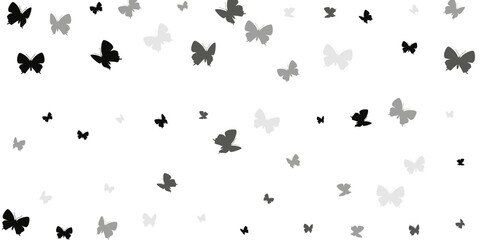 Romantic black butterflies isolated vector background. Summer beautiful insects. Decorative butterflies isolated kids illustration. Sensitive wings moths graphic design. Fragile creatures.