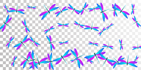 Exotic blue purple dragonfly flat vector background. Summer vivid damselflies. Simple dragonfly flat baby illustration. Tender wings insects patten. Tropical creatures