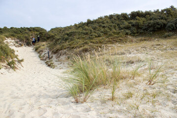the dunes landscape in Haamstede, Zeeland in the Netherlands