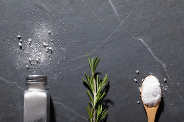 Directly above shot of salt shaker with rosemary and spoon on table © WavebreakMediaMicro