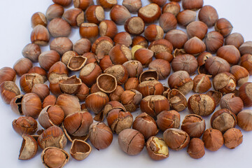 Closeup of cracked hazelnut on white background.