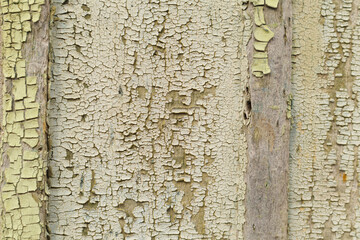 Texture wooden painted surface with cracked paint