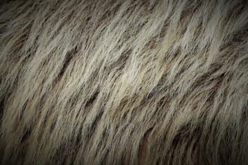 close up blonde mane of horse