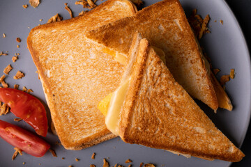 Directly above view of fresh cheese toast sandwich served with tomato slices served in plate