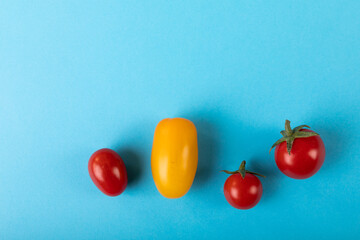 Overhead view of copy space with fresh red and yellow tomatoes on blue background