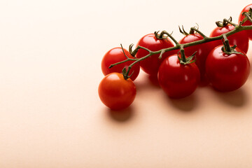 Close-up of fresh red cherry tomatoes twig by copy space against pink background