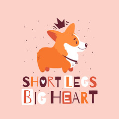 Corgi with crown and quote - Short Legs, Big Heart. Welsh corgi print for card, poster or t-shirt design. Vector illustration isolated on pink background. Cute dog and modern inscription.