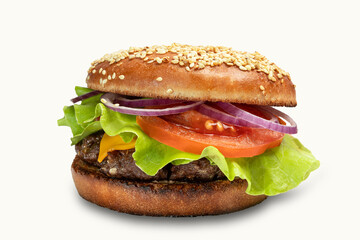 delicious burger isolated for me fast food