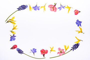 frame of garden flowers on white background, flat lay