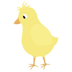 Chick. Color vector illustration. Yellow bird. Baby chicken. Nice hairstyle. Isolated background. Flat style. Festive print. Idea for web design, invitations, postcards. Bright Easter.
