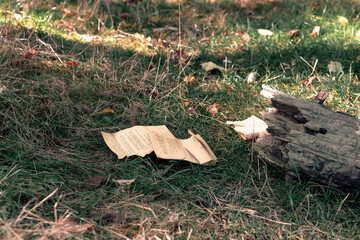 Torn pages from a book on the ground. A torn book lies in the grass - Powered by Adobe