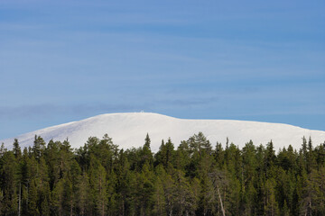 extraordinary finnish lapland winter landscape, snowy hills with green forest and blue sky