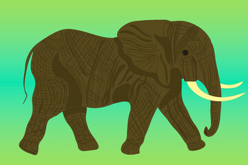 Elefante africano