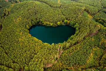 Heart shaped lake in the green lush forest. Bird's eye view of the blue water and treetops in a...