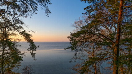 View from behind the trees of the lake during summer sundown. Blue sky, orange colors.