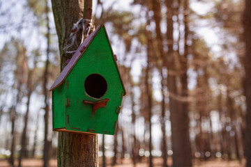 birdhouse on the tree , close up view . Copy space
