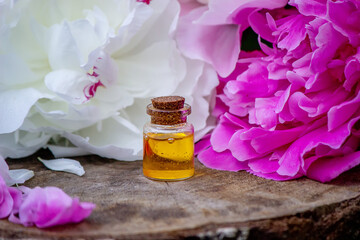 essential oils and medical flowers herbs