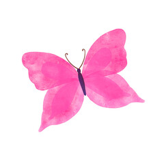 Watercolor Summer pink butterfly isolated on white background. Spring butterfly illustration.
